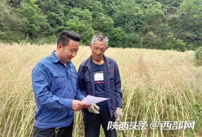 当好“电保姆” 守好光明线——陕西地电服务小微企业群像